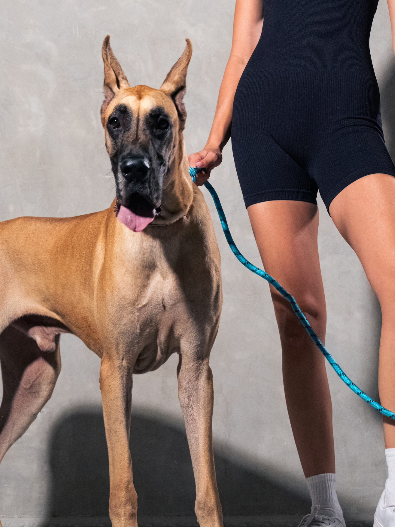 Aqua Blue Running Hands-Free Dog Leash