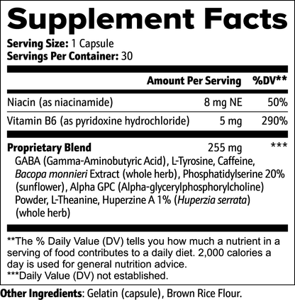 Cognitive Support: Premium Nootropics for Focus