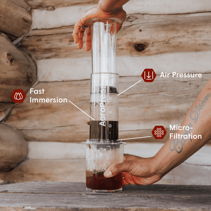 Traveler's Bundle - Clear XL