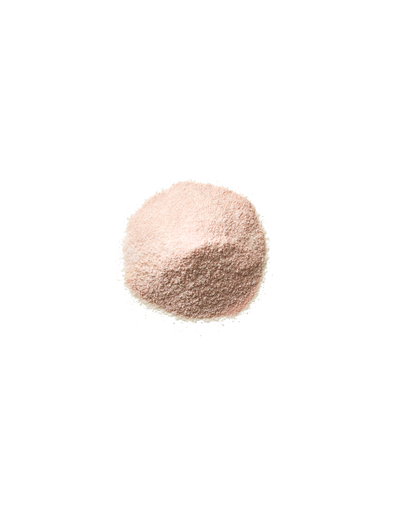 Debloat: Prebiotic + Probiotic Florida Orange